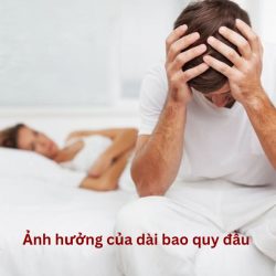 https://chuabenhlaubacninh.com/wp-content/uploads/2024/07/anh-huong-cua-dai-bao-quy-dau-250x250.jpg