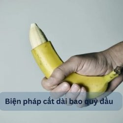 https://chuabenhlaubacninh.com/wp-content/uploads/2024/07/bien-phap-cat-bao-quy-dau-250x250.jpg