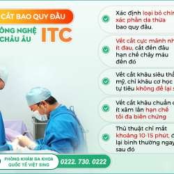 https://chuabenhlaubacninh.com/wp-content/uploads/2024/07/cat-bao-quy-dau-bang-itc-250x250.png