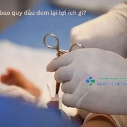 https://chuabenhlaubacninh.com/wp-content/uploads/2024/07/cat-bao-quy-dau-mang-lai-loi-ich-gi-250x250.jpg