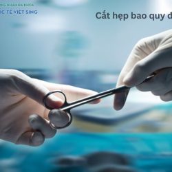 https://chuabenhlaubacninh.com/wp-content/uploads/2024/07/cat-hep-bao-quy-dau-2-250x250.jpg