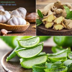 https://chuabenhlaubacninh.com/wp-content/uploads/2024/07/chua-viem-bao-quy-dau-bang-dan-gian-250x250.jpg