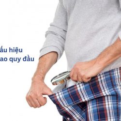 https://chuabenhlaubacninh.com/wp-content/uploads/2024/07/dau-hieu-dai-bao-quy-dau-250x250.jpg