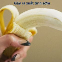 https://chuabenhlaubacninh.com/wp-content/uploads/2024/07/gay-xuat-tinh-som-250x250.jpg