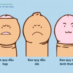 https://chuabenhlaubacninh.com/wp-content/uploads/2024/07/mac-benh-ly-tai-bao-quy-dau-250x250.jpg