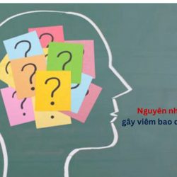 https://chuabenhlaubacninh.com/wp-content/uploads/2024/07/nguyen-nhan-gay-viem-bao-quy-dau-2-250x250.jpg