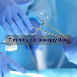 https://chuabenhlaubacninh.com/wp-content/uploads/2024/08/tim-hieu-cat-bao-quy-dau-250x250.jpg