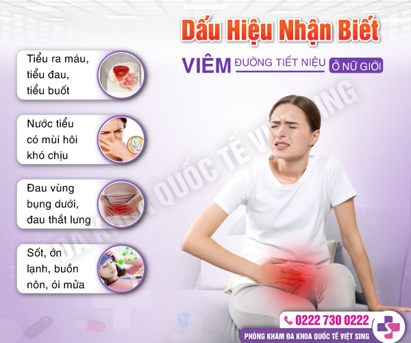 https://chuabenhlaubacninh.com/wp-content/uploads/2025/03/viem-duong-tiet-nieu-1.jpg
